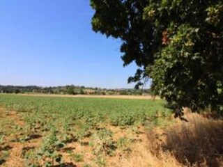 Casa per le vacanze Foiano della Chiana Ambiente 33