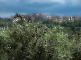 Maison de vacances Foiano della Chiana Environnement 25