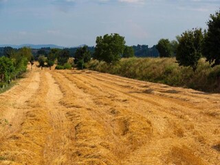 Casa per le vacanze Foiano della Chiana Ambiente 27
