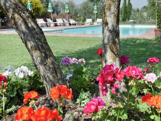 Vakantiehuis Foiano della Chiana Buitenaudio-opname 8