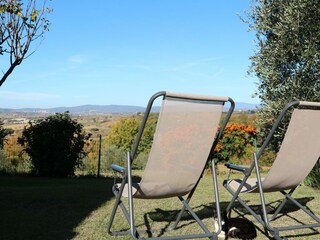 Casa per le vacanze Foiano della Chiana  40