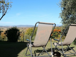 Holiday house Foiano della Chiana  29