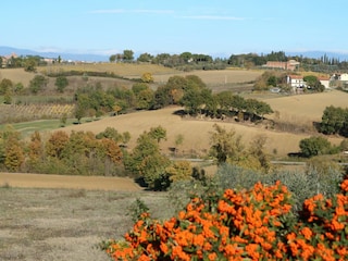 Holiday house Foiano della Chiana Environment 25