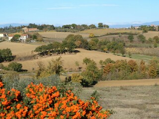 Holiday house Foiano della Chiana  31
