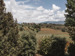 Maison de vacances Foiano della Chiana Environnement 21