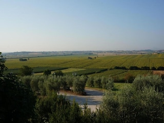 Maison de vacances Foiano della Chiana Environnement 22