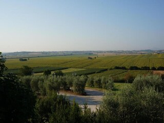 Vakantiehuis Foiano della Chiana Omgeving 22