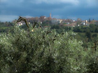 Ferienhaus Foiano della Chiana Umgebung 27