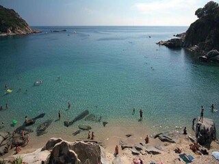 Maison de vacances Foiano della Chiana Environnement 20