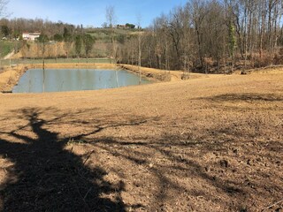 Maison de vacances Foiano della Chiana Environnement 31