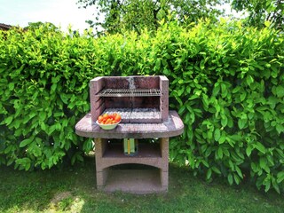 Holiday cottage Lucignano  40