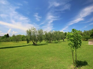 Villa Marciano della Chiana Grabación al aire libre 10