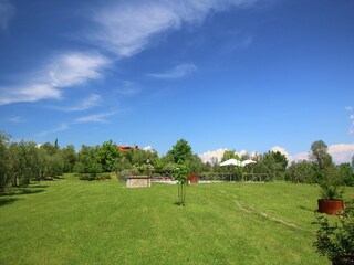 Villa Marciano della Chiana Grabación al aire libre 8