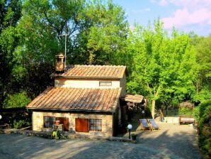 Maison de vacances Chalet confortable avec jardin à Chiusdino - Chiusdino - image1