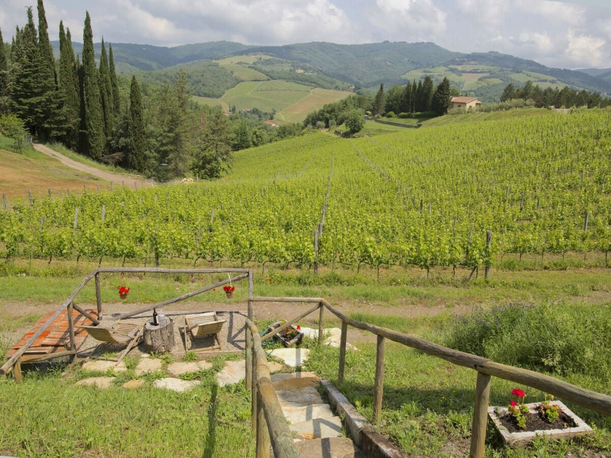 Bauernhof Radda in Chianti Außenaufnahme 2