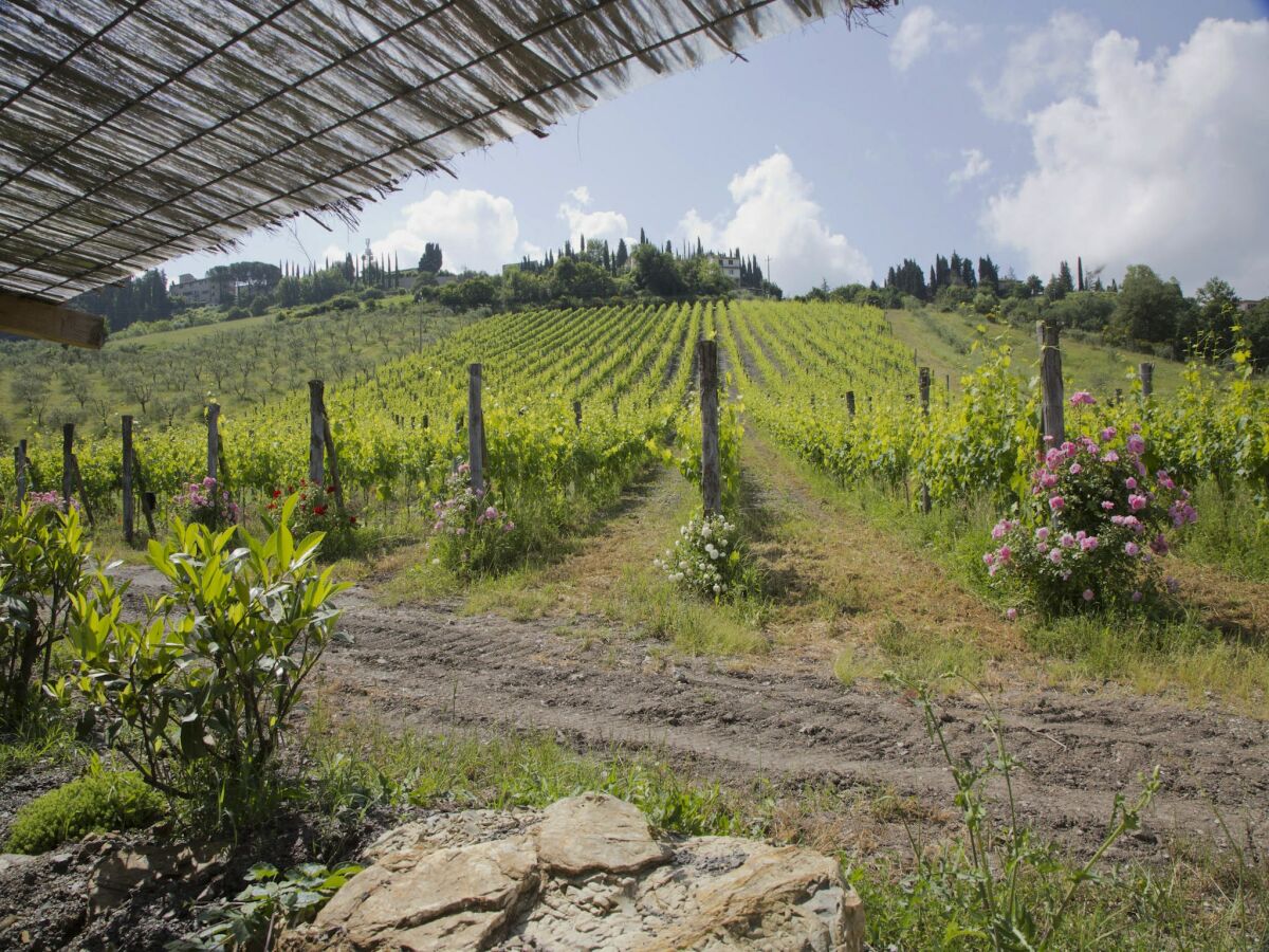 Bauernhof Radda in Chianti Außenaufnahme 6