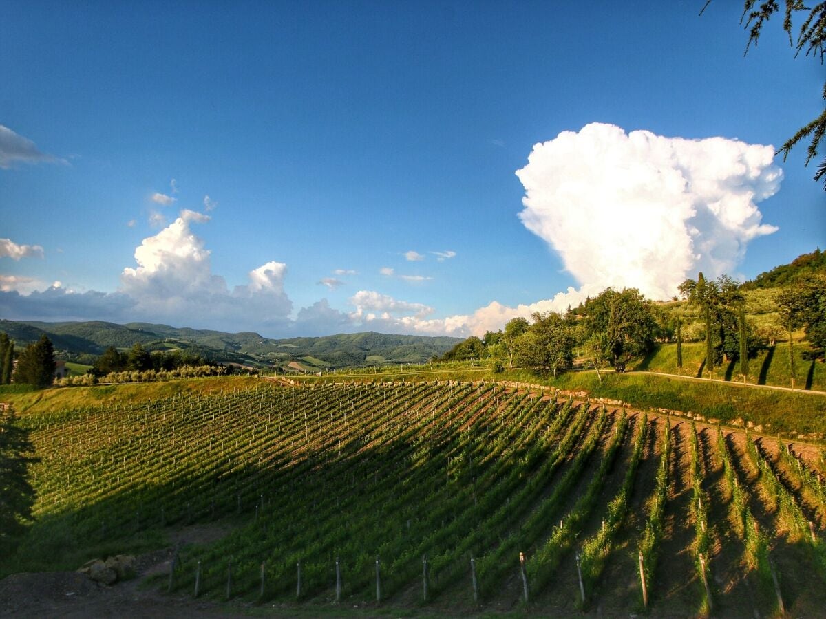 Bauernhof Radda in Chianti Umgebung 35