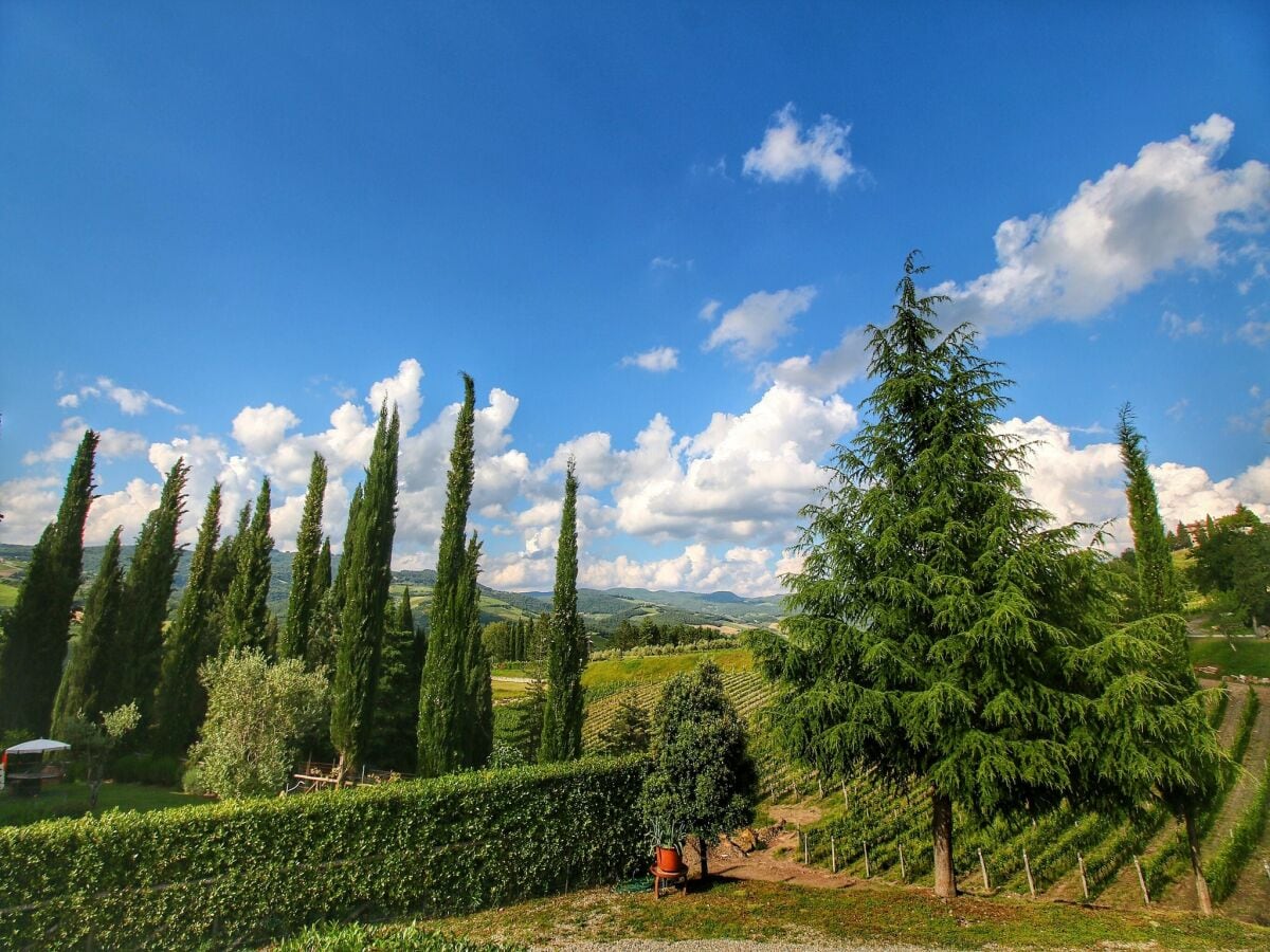 Bauernhof Radda in Chianti Umgebung 36