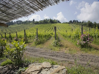 Farmhouse Radda in Chianti Outdoor Recording 4