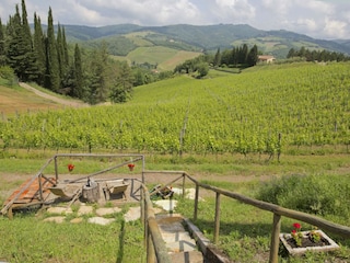 Farmhouse Radda in Chianti Outdoor Recording 6