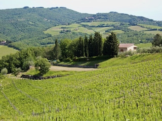 Apartment Radda in Chianti Umgebung 32