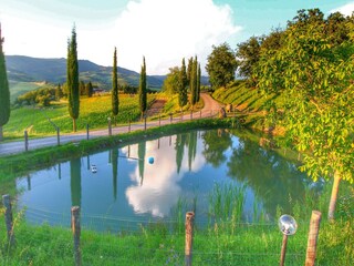 Appartamento Radda in Chianti Ambiente 35
