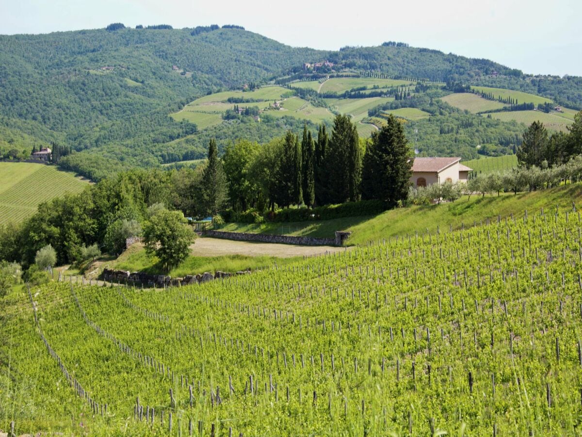 Apartment Radda in Chianti Umgebung 37