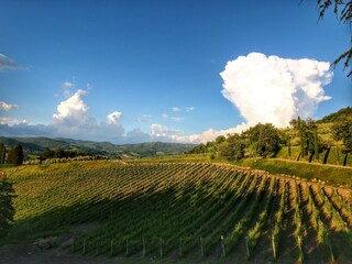 Apartamento Radda in Chianti Entorno 34
