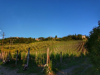 Appartement Radda in Chianti Buitenaudio-opname 10