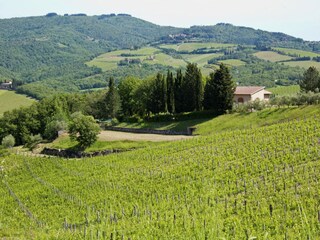 Apartamento Radda in Chianti Entorno 31