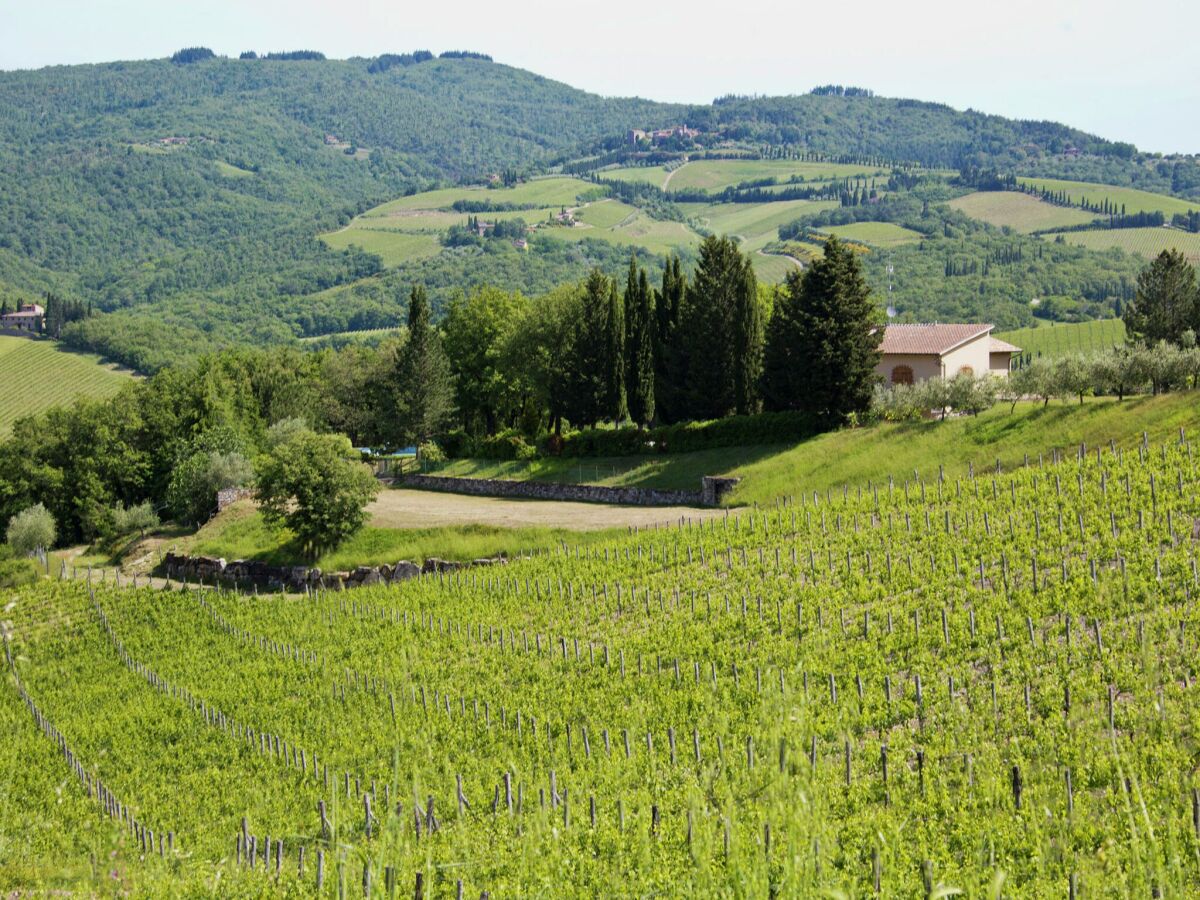 Apartment Radda in Chianti Umgebung 31