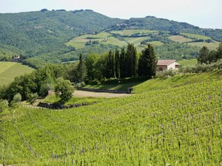 Apartamento Radda in Chianti Entorno 34