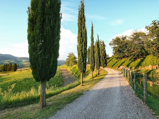 Apartment Radda in Chianti Umgebung 31