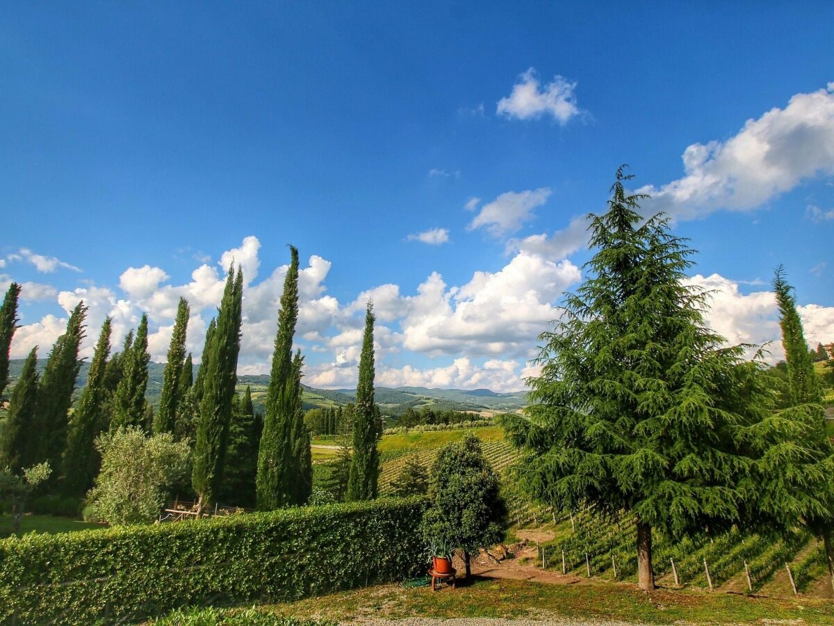 Apartment Radda in Chianti Umgebung 36