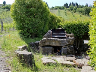 Appartement Radda in Chianti  40