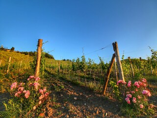 Apartamento Radda in Chianti Grabación al aire libre 10