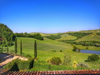 Casa de campo Buonconvento Entorno 35
