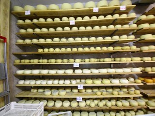 Type de propriété : Ferme Buonconvento  39