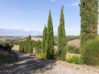Bauernhof Buonconvento Umgebung 30
