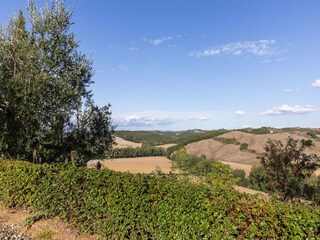Boerderij Buonconvento Buitenaudio-opname 4