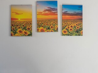 Fattoria Buonconvento  36