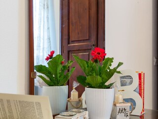 Fattoria Buonconvento  35