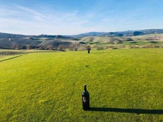 Casa de campo Buonconvento Entorno 26