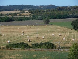 Farmhouse Buonconvento Environment 32