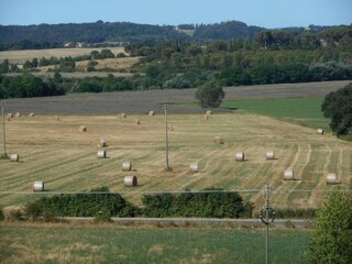 Farmhouse Buonconvento Environment 28