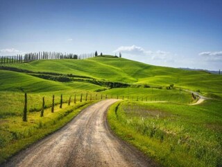 Type de propriété : Ferme Buonconvento Environnement 33