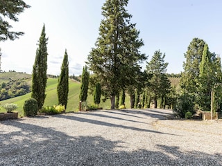 Bauernhof Buonconvento Umgebung 27