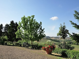 Bauernhof Buonconvento Umgebung 28
