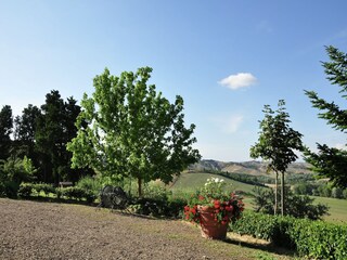 Boerderij Buonconvento Omgeving 26