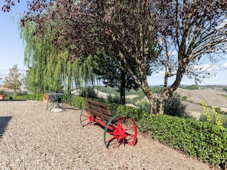 Bauernhof Buonconvento Außenaufnahme 8